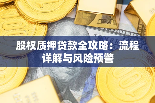 武汉股权质押贷款全攻略：流程详解与风险预警