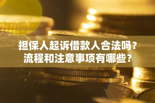 武汉担保人起诉借款人合法吗？流程和注意事项有哪些？