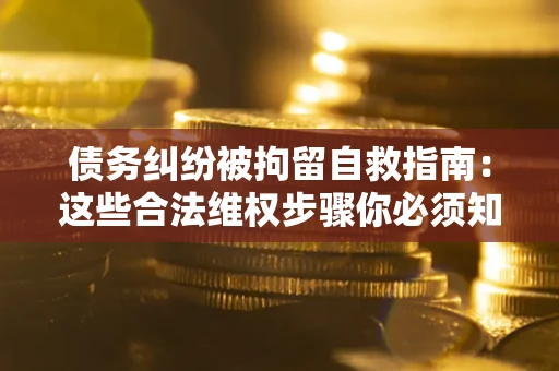 武汉债务纠纷被拘留自救指南：这些合法维权步骤你必须知道！