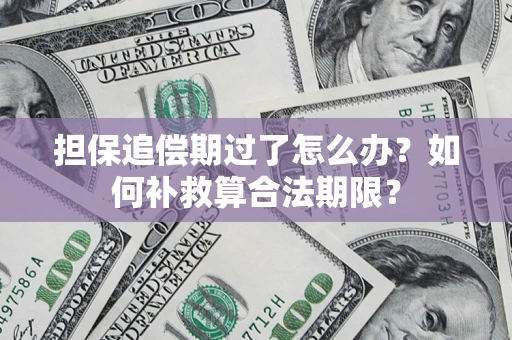 武汉担保追偿期过了怎么办？如何补救算合法期限？