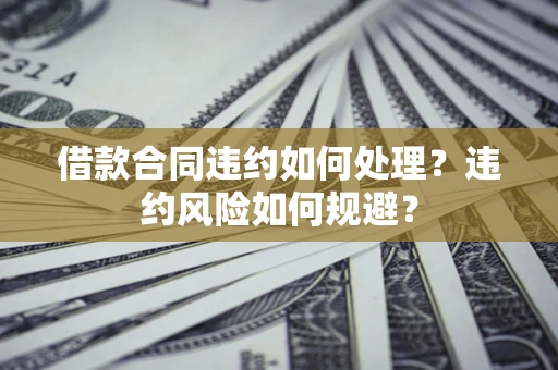 武汉借款合同违约如何处理？违约风险如何规避？