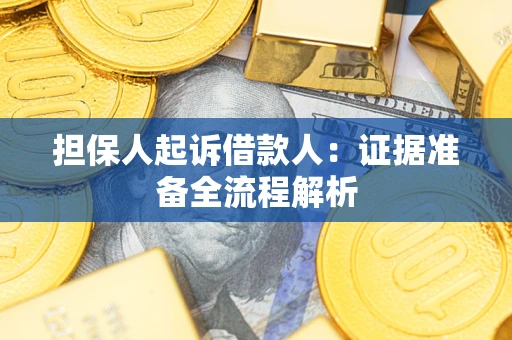 武汉担保人起诉借款人：证据准备全流程解析