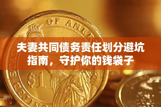 武汉夫妻共同债务责任划分避坑指南，守护你的钱袋子