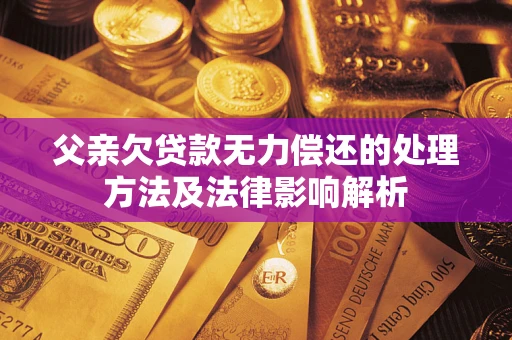 武汉父亲欠贷款无力偿还的处理方法及法律影响解析